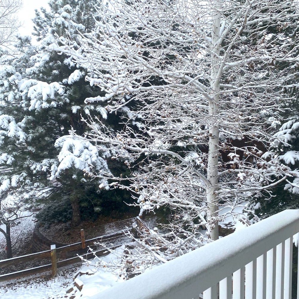 Meet your Posher, Louann